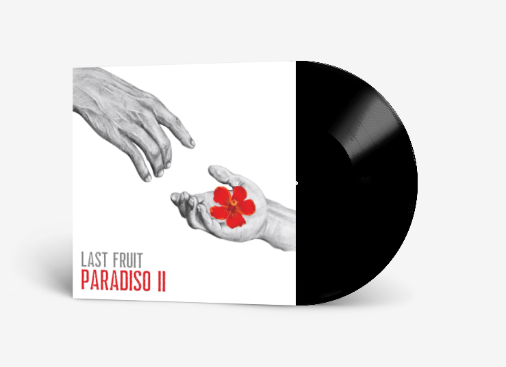 Paradiso II - 12 inch, stereo vinyl record